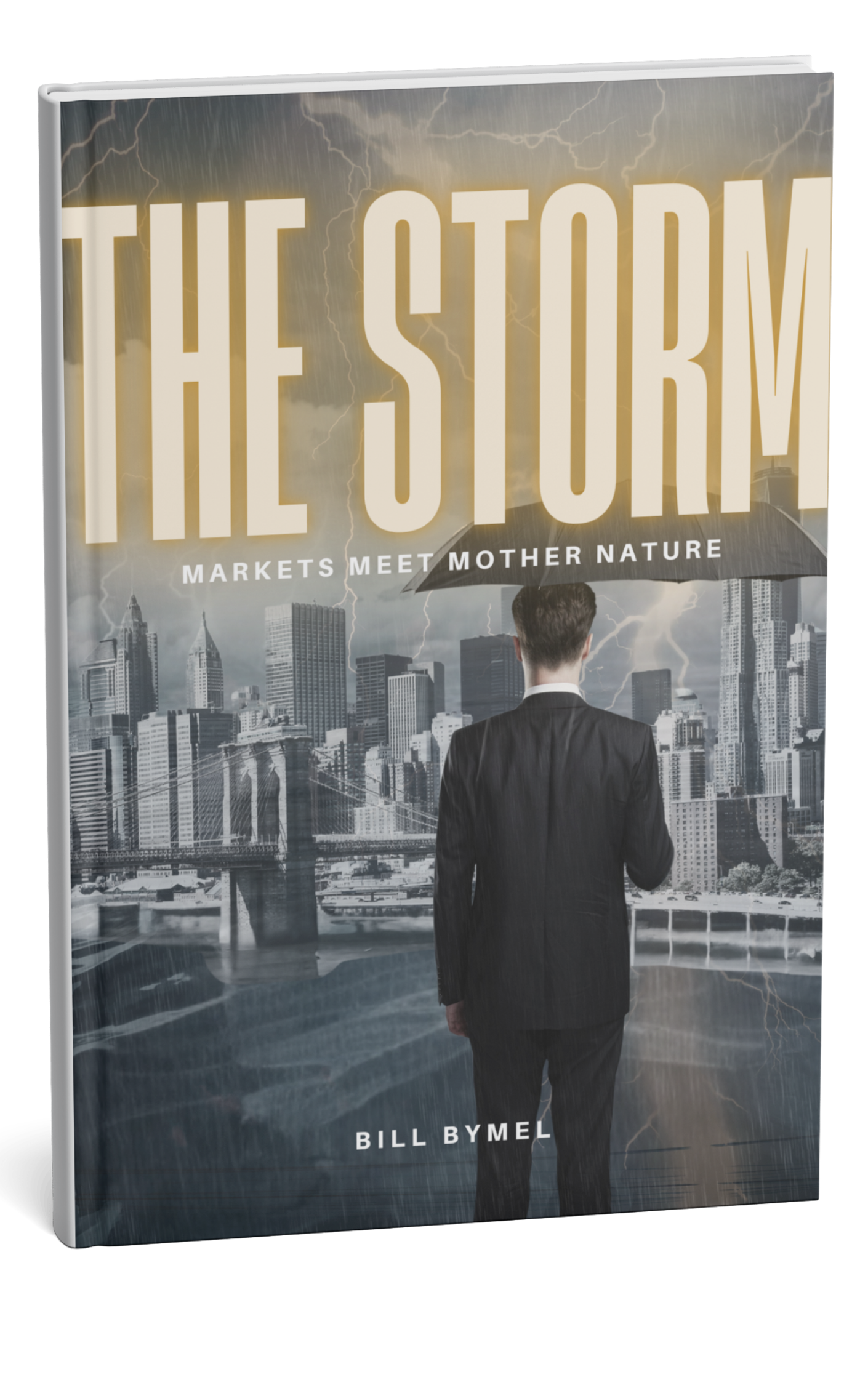 the-storm-book-3.27.26
