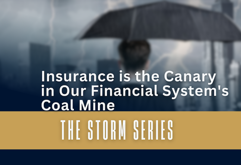 The Storm Series: Insurance is the Canary in Our Financial System’s Coal Mine